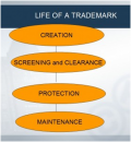 Trademarks – Identifying and Protecting Your Rights